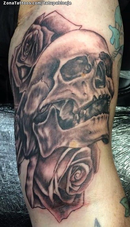 Tattoo photo Skulls, Roses, Flowers