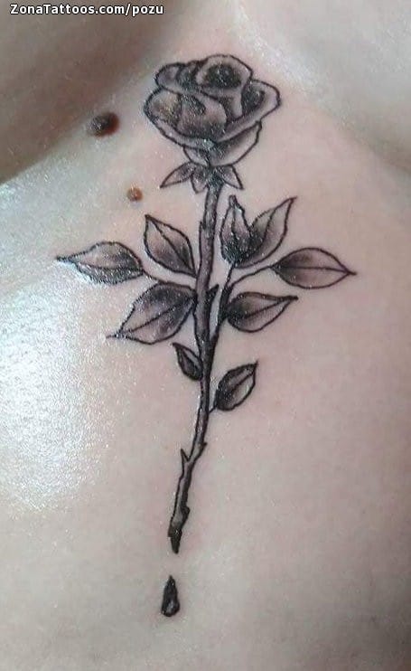 Tattoo photo Roses, Chest, Flowers