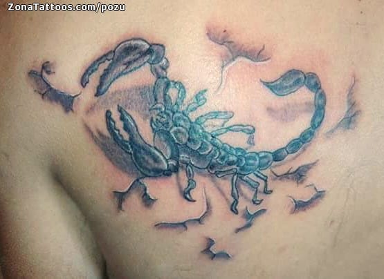 Foto de tatuaje Escorpiones, Animales, Espalda