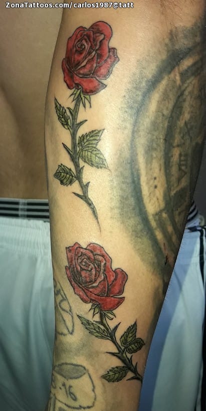 Tattoo photo Roses, Flowers, Arm