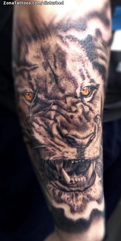 Tattoo photo Lions, Animals, Forearm