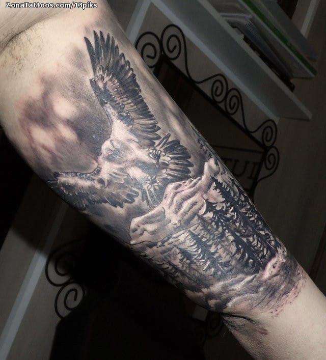 Tattoo photo Eagles, Trees, Mountains