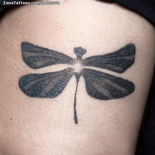 Tattoo photo Butterflies, Insects, Tiny