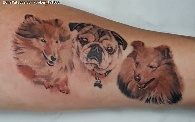 Foto de tatuaje Perros, Animales