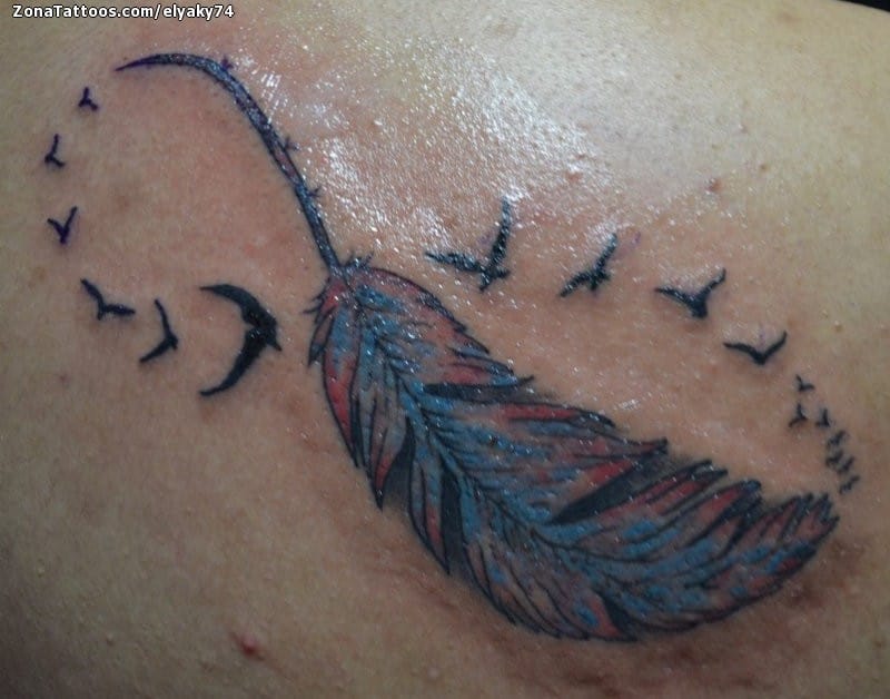 Feather Tattoo bird Tattoo abziehtattoo Bird flight quill goose Birds  Tattoo feather branch  Anyrgb