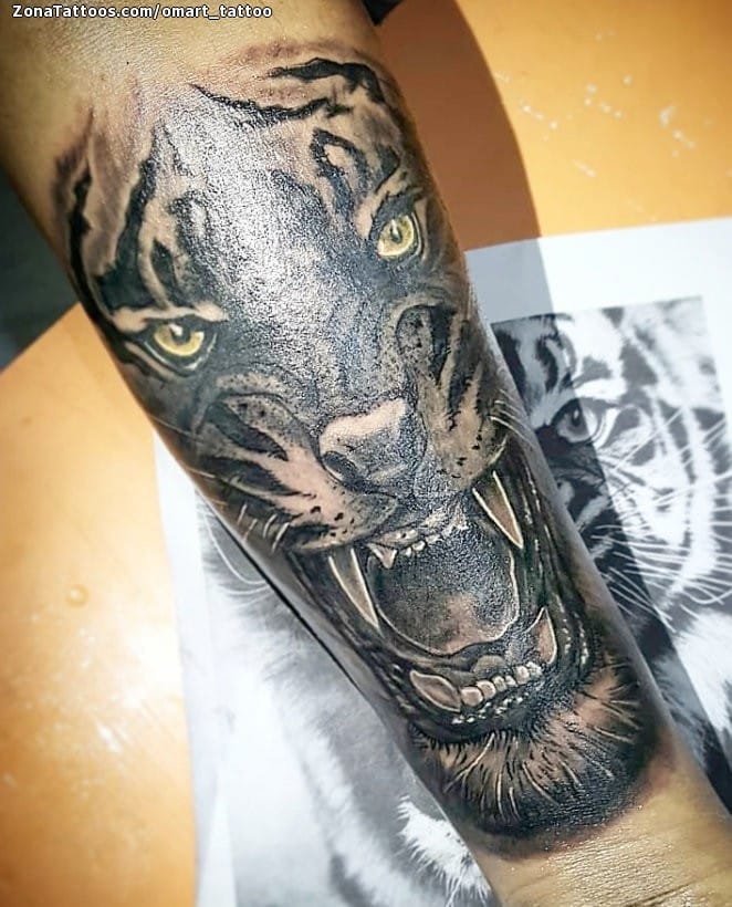 Tattoo photo Tigers, Animals, Forearm