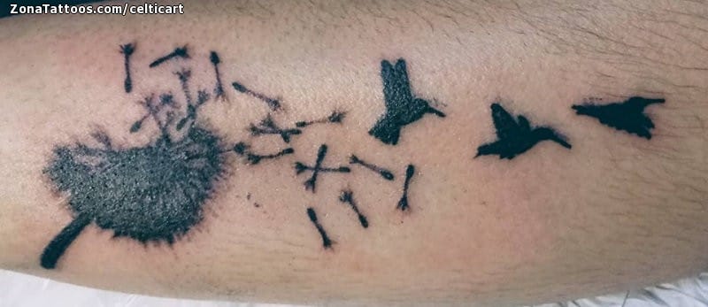 Foto de tatuaje Colibríes, Aves, Animales