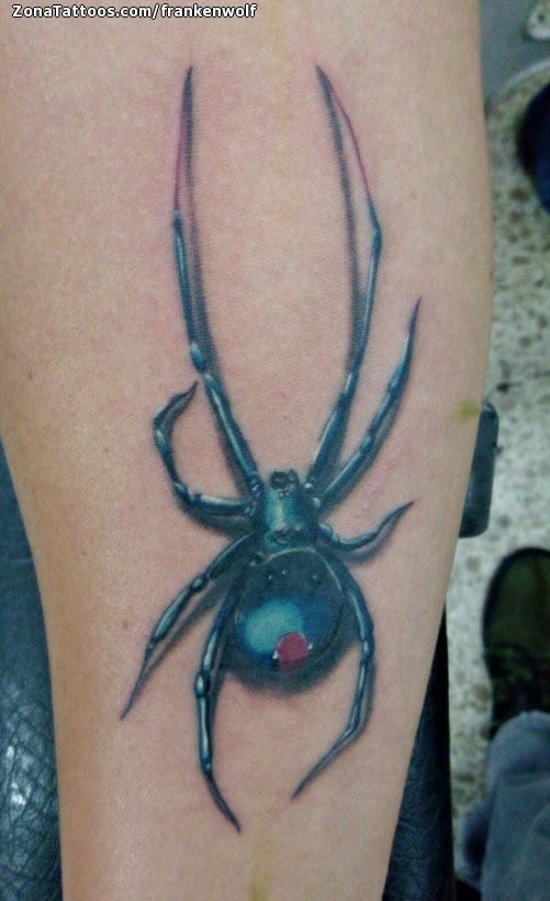 Tattoo photo Spiders, Animals