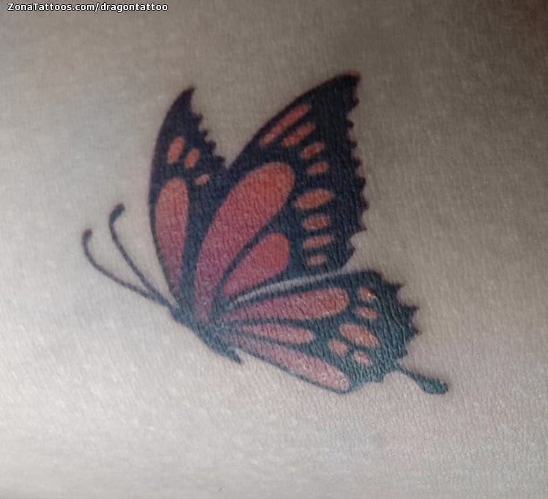 Tattoo photo Butterflies, Insects, Tiny