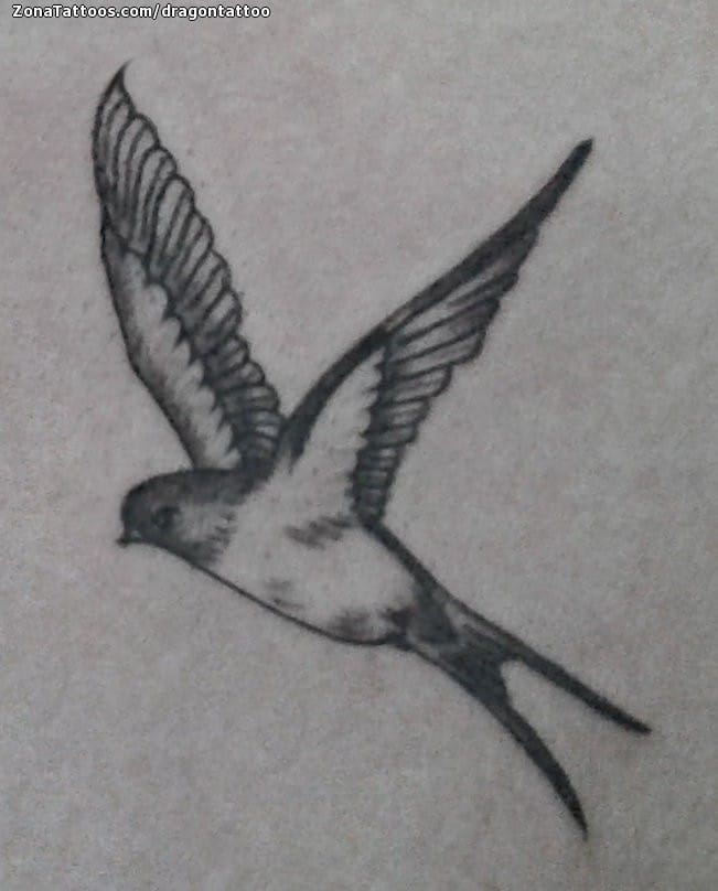 Tattoo photo Swallows, Birds, Animals