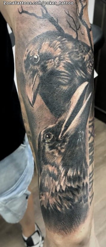 Foto de tatuaje Cuervos, Aves, Animales