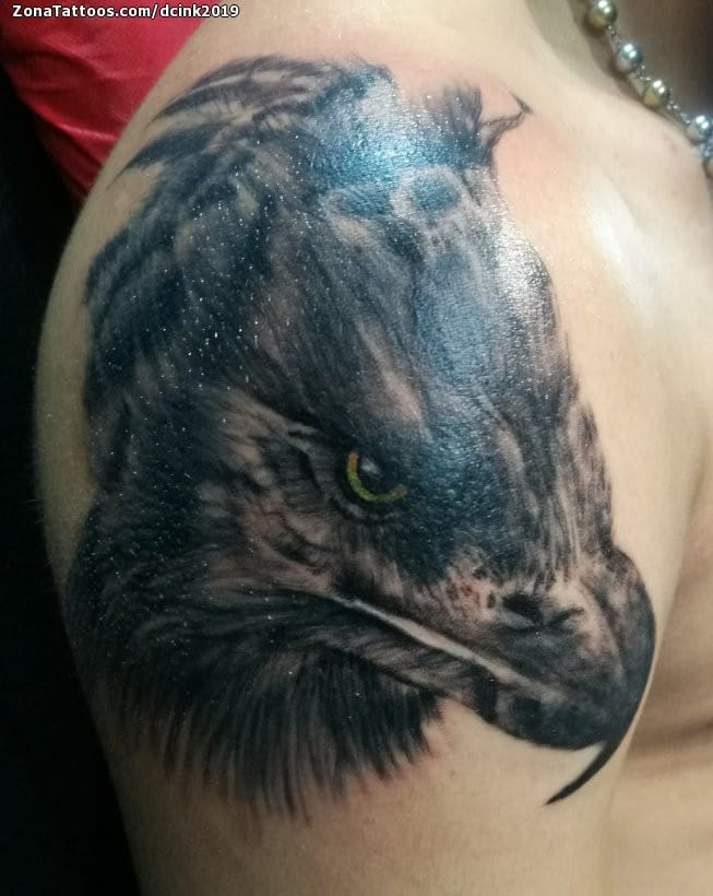 Foto de tatuaje Águilas, Aves, Animales