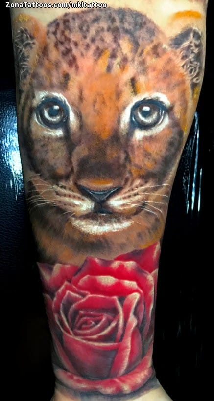 Foto de tatuaje Leones, Animales, Rosas