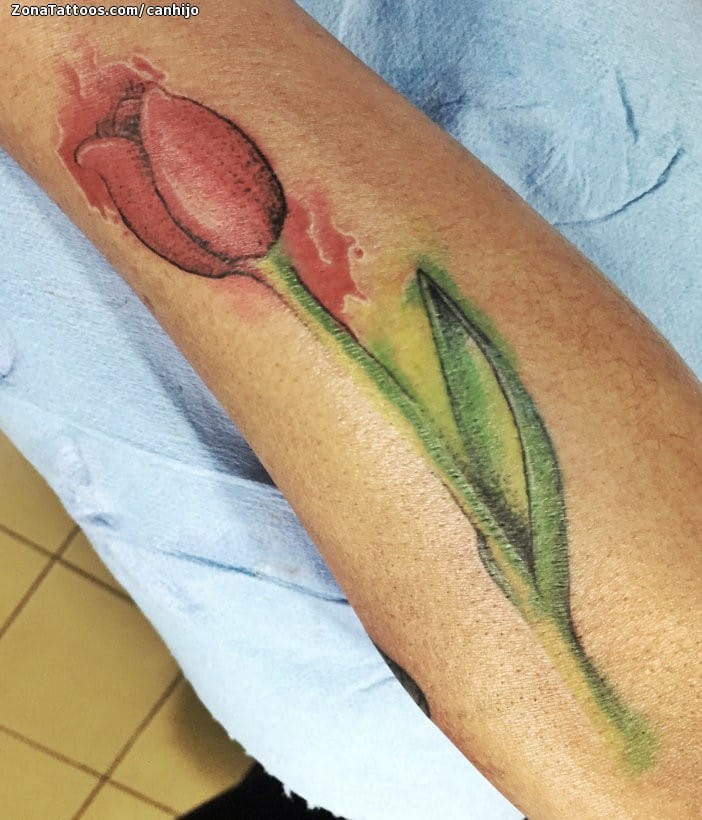 Tatuaje de Tulipanes, Flores, Acuarela