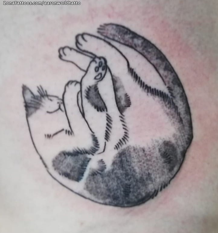 Tattoo photo Cats, Animals