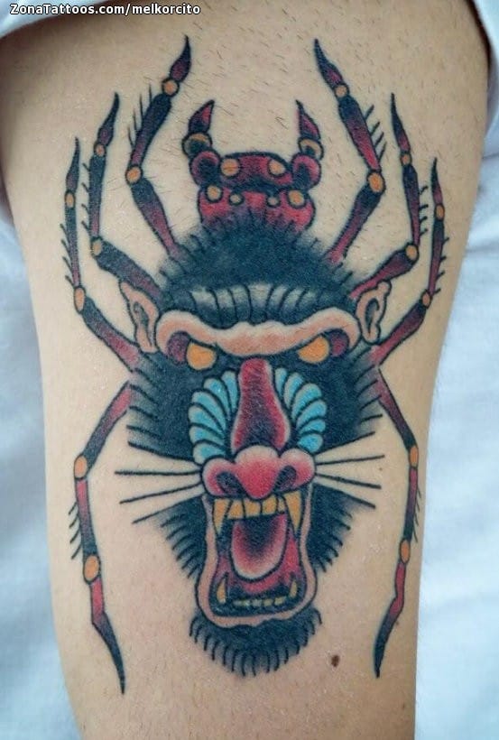 Foto de tatuaje Monos, Arañas, Animales