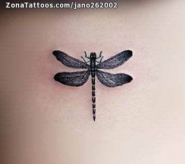 Tattoo photo Dragonflies, Insects