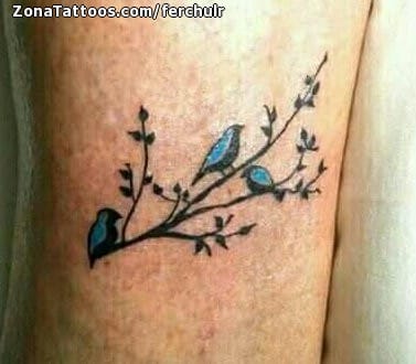 Foto de tatuaje Aves, Animales, Pequeños