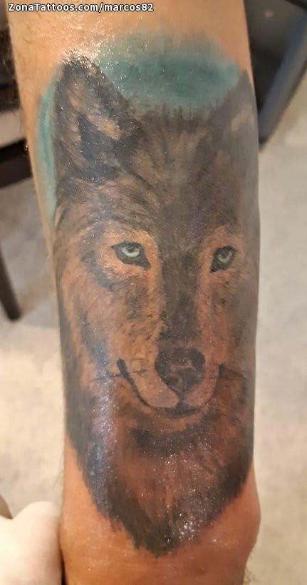 Tattoo photo Wolfs, Animals