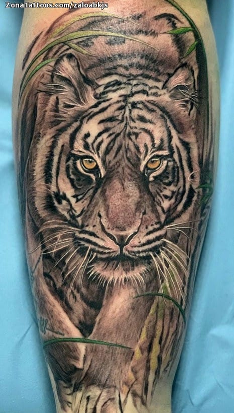 Tattoo photo Tigers, Animals