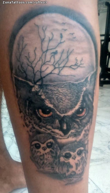 Foto de tatuaje Búhos, Aves, Animales