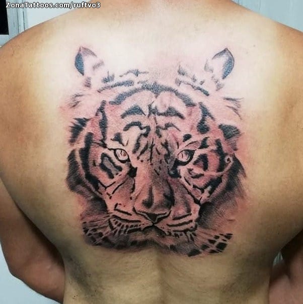 Foto de tatuaje Tigres, Animales, Espalda