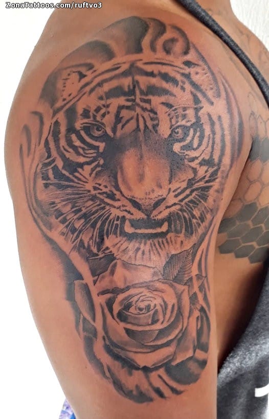 Foto de tatuaje Tigres, Animales, Hombro