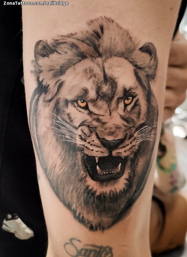 Tattoo photo Lions, Animals, Arm