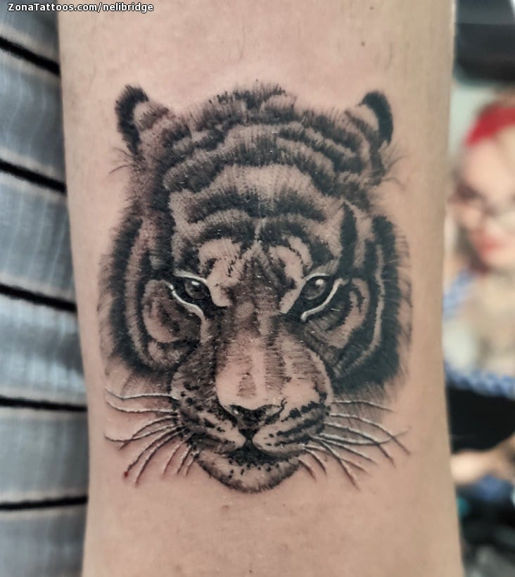 Tattoo photo Tigers, Animals, Arm