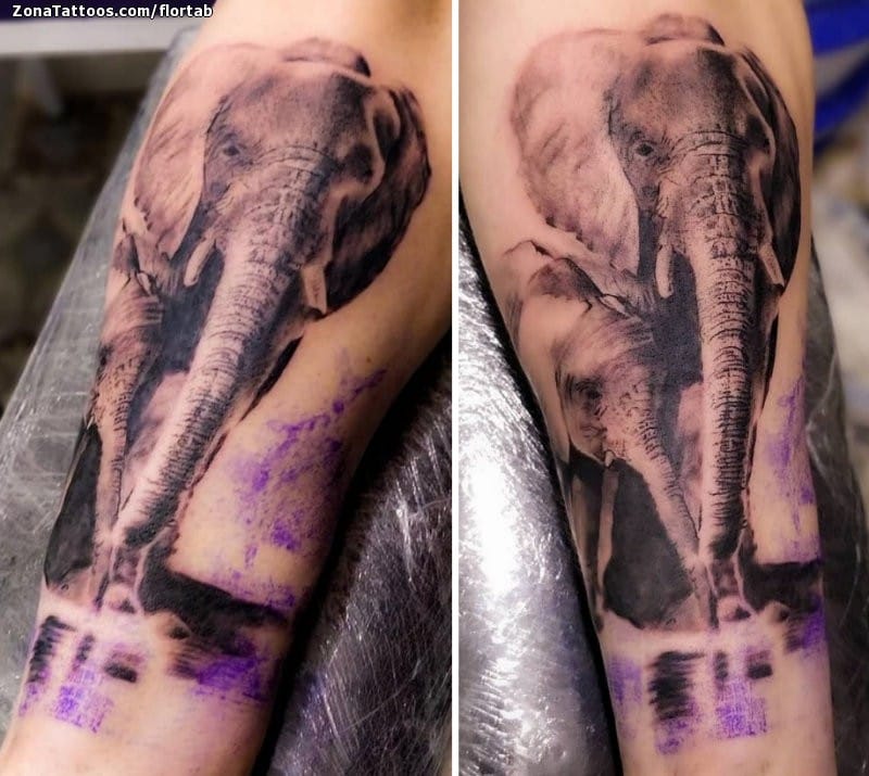 Foto de tatuaje Elefantes, Animales