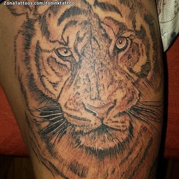 Tattoo photo Tigers, Animals