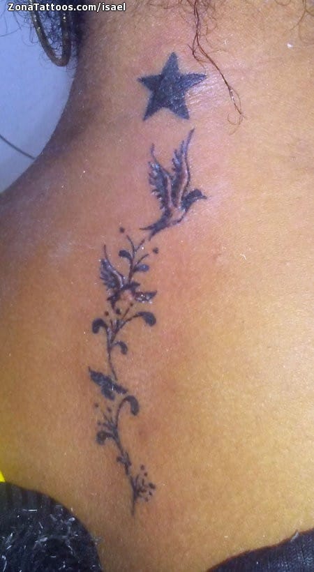 Tattoo photo Birds, Flourish, Back