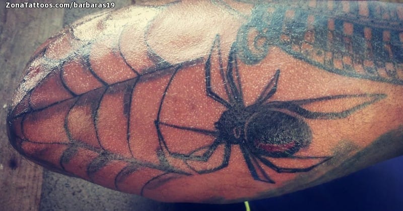 Tattoo photo Spiders, Cobwebs, Elbow