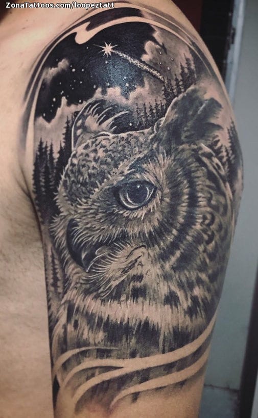 Foto de tatuaje Búhos, Aves, Animales