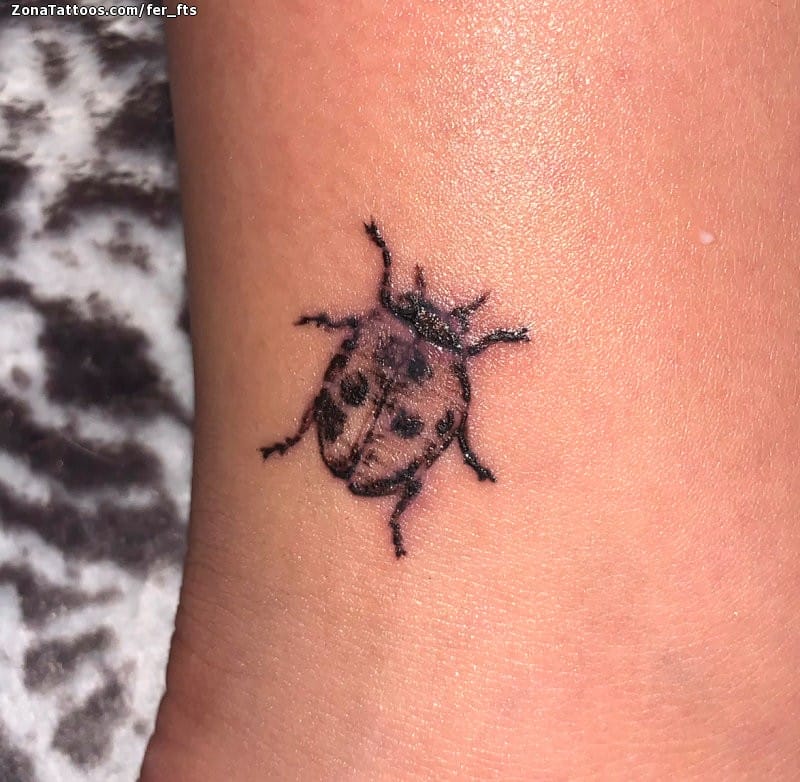 Foto de tatuaje Mariquitas, Insectos, Pequeños