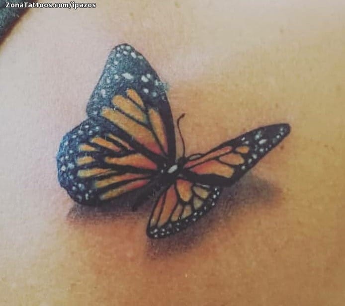 Tattoo photo Butterflies, Insects