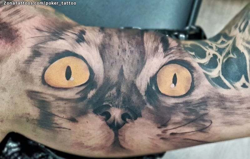 Tattoo photo Cats, Animals