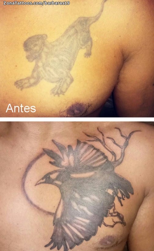 Foto de tatuaje Cuervos, Aves, Animales