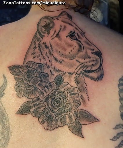 Foto de tatuaje Leones, Espalda, Animales