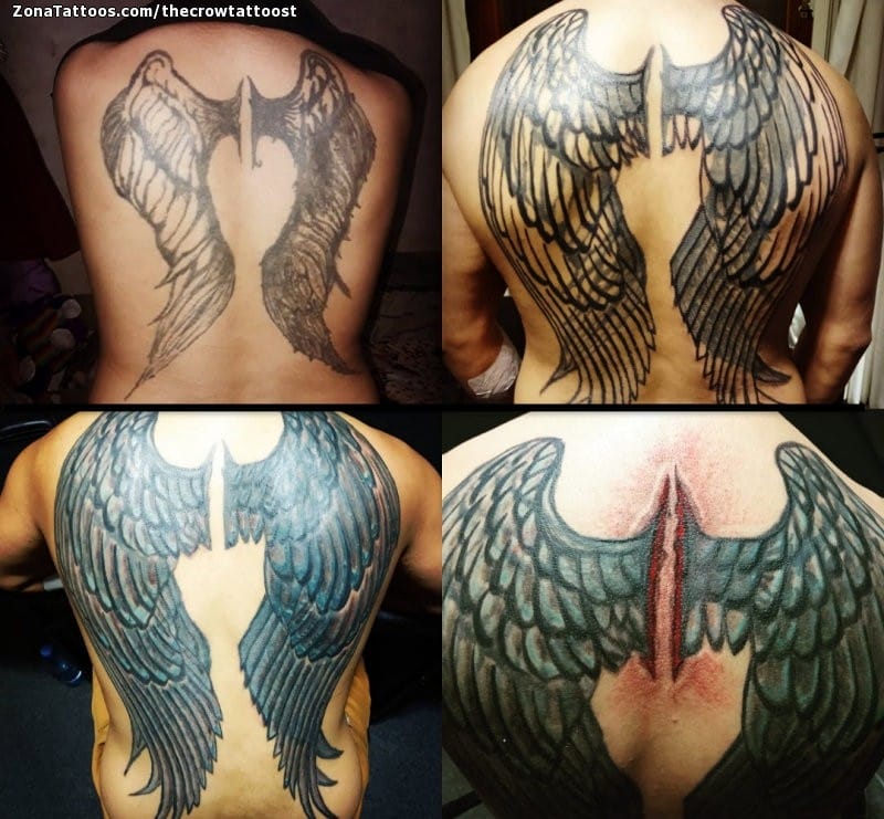 Tattoo photo Wings, Back, Cover Up