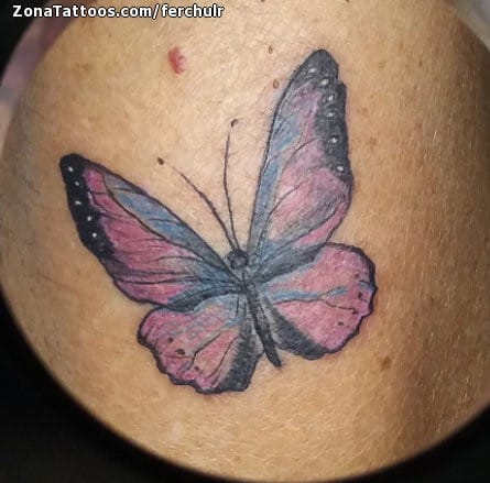 Foto de tatuaje Mariposas, Insectos