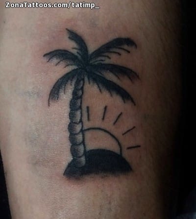 Tattoo photo Palm trees, Trees, Suns