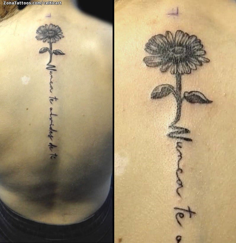 Foto de tatuaje Flores, Letras, Frases