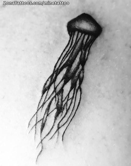 Foto de tatuaje Medusas, Animales