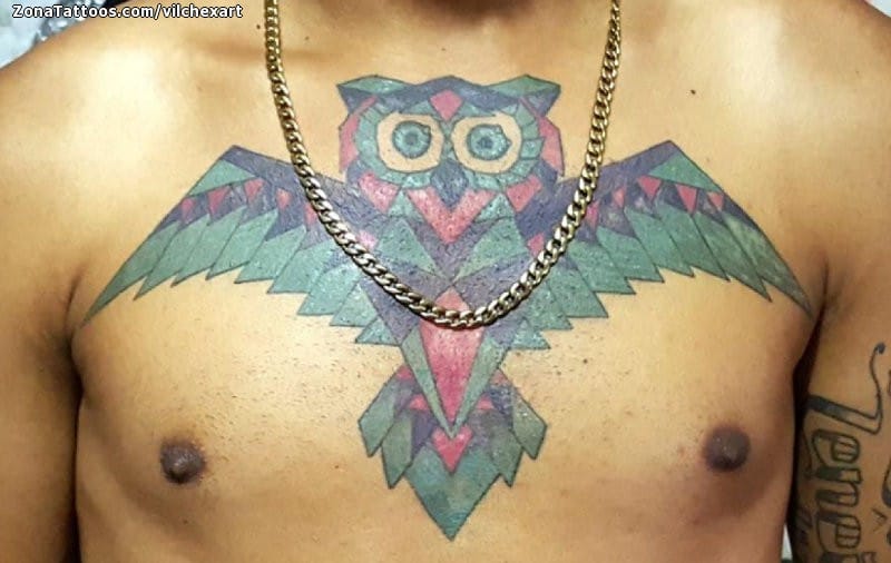 Foto de tatuaje Búhos, Pecho, Aves