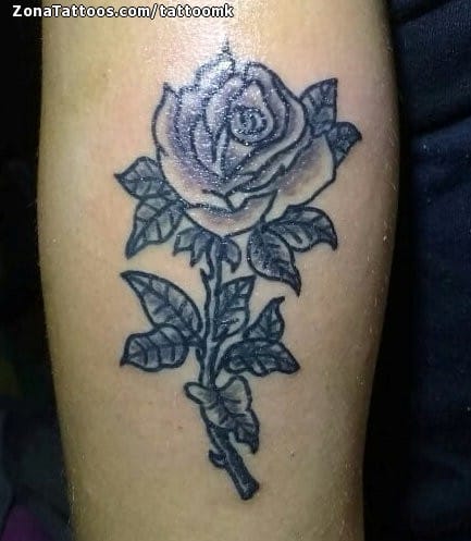 Tattoo photo Roses, Flowers