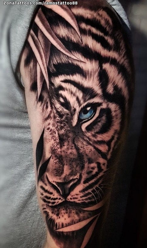 Foto de tatuaje Tigres, Animales, Brazo