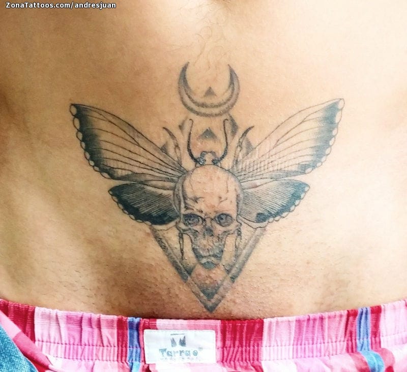 Tattoo photo Moths, Skulls, Pubis