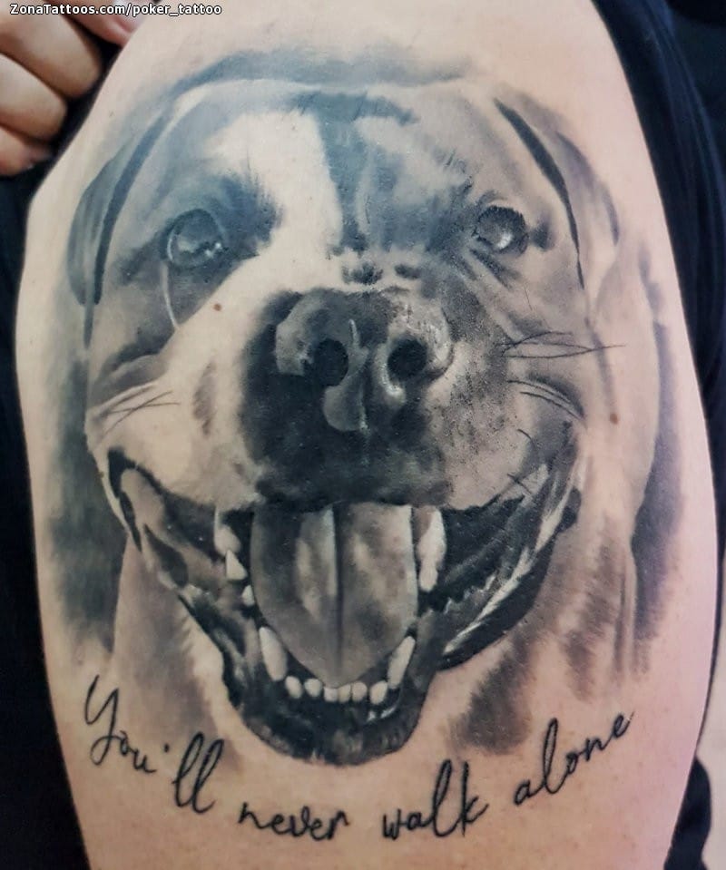 Foto de tatuaje Perros, Animales, Hombro