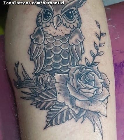 Foto de tatuaje Búhos, Aves, Animales